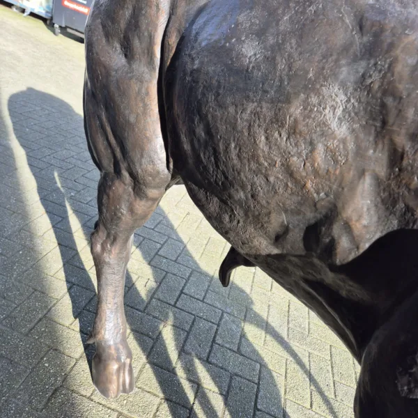 Skulptur Dekoration Stier Bronze 1,45 m - immagine 16
