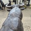Skulptur Dekoration Stier Bronze 1,55 m - immagine 8