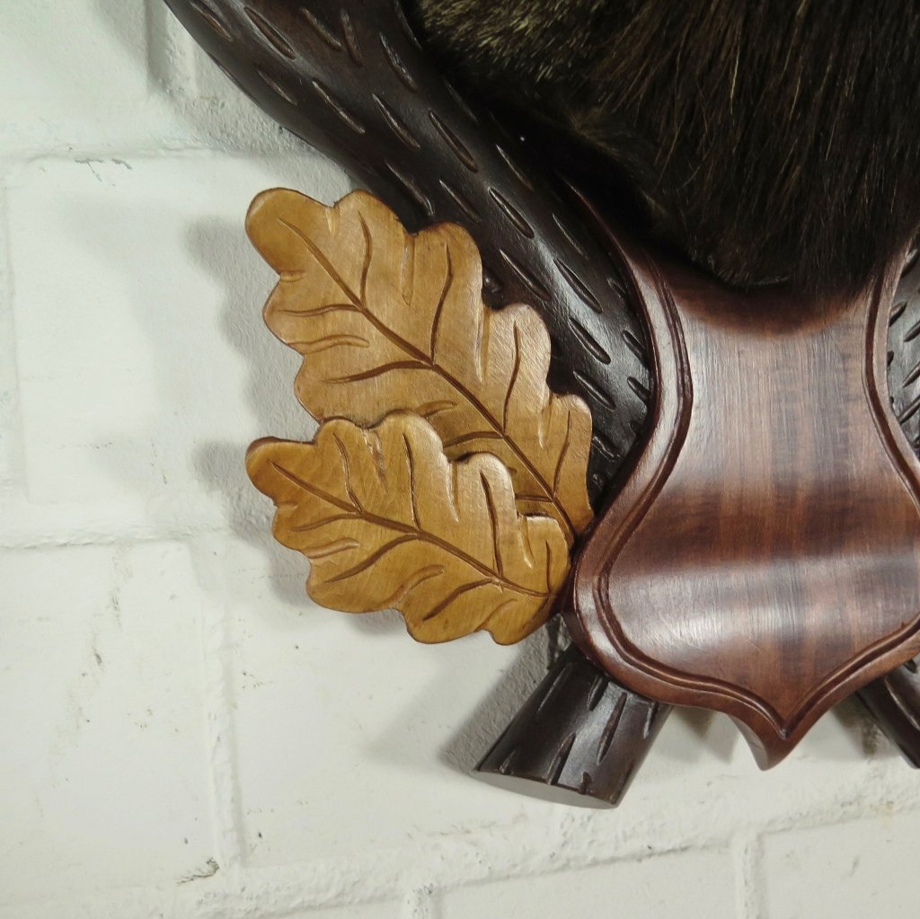 Jagdtrophäe Mufflon 0,67 m