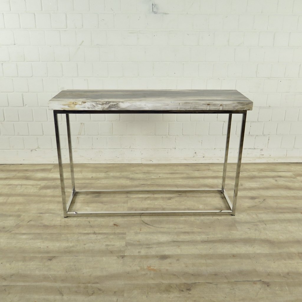 Wandtisch Sideboard Fossil versteinertes Holz 1,20 m x 0,40 m