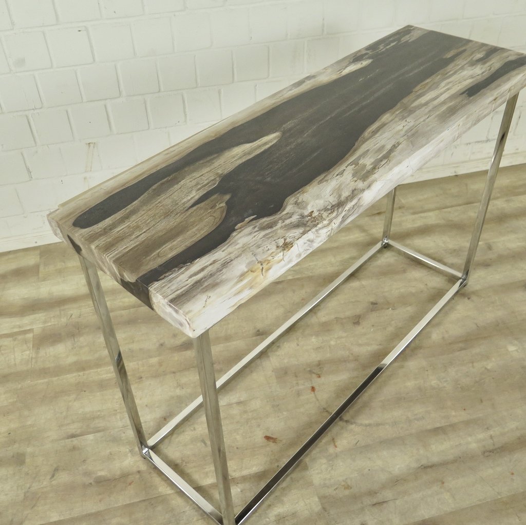 Wandtisch Sideboard Fossil versteinertes Holz 1,20 m x 0,40 m