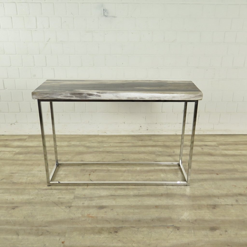 Wandtisch Sideboard Fossil versteinertes Holz 1,20 m x 0,40 m