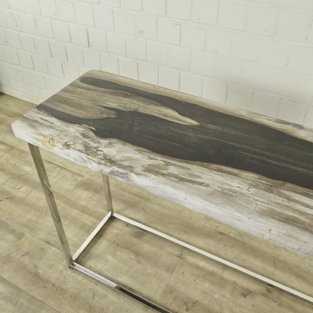 Wandtisch Sideboard Fossil versteinertes Holz 1,20 m x 0,40 m