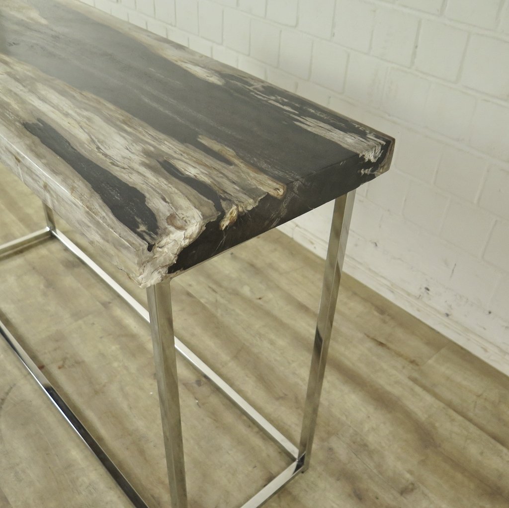Wandtisch Sideboard Fossil versteinertes Holz 1,20 m x 0,40 m