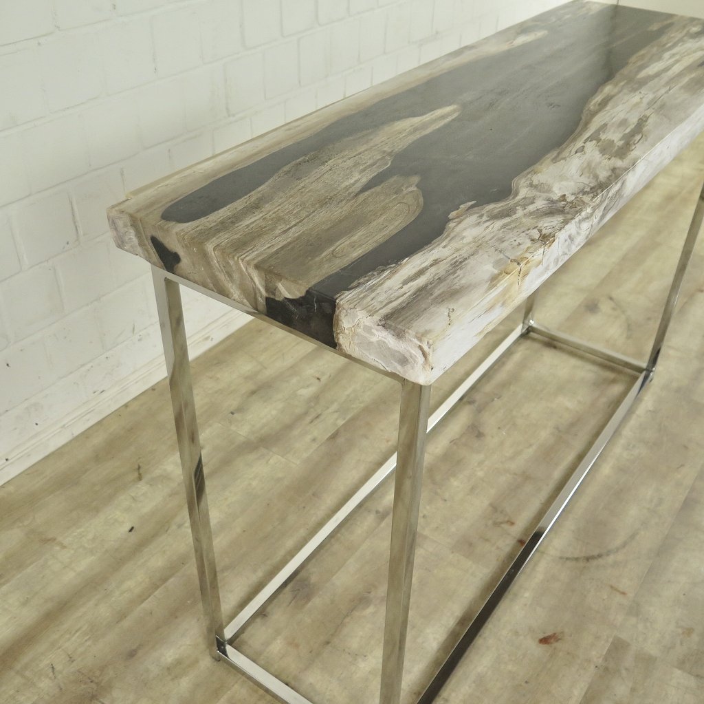 Wandtisch Sideboard Fossil versteinertes Holz 1,20 m x 0,40 m